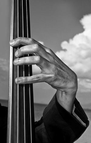 Amato-Musica-bass-music-musical_instrument-instrumental-bassist-jazz; sound-live-fingers-strings-conceptual-fingerboard-instrument-monochrome-closeup-particular-orchestra-concert-arrange-harmonize-rehearse-detail-black-perform-hand-jazzman