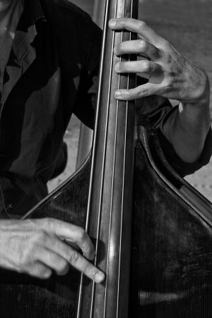 Amato-jazzman-bass-music-hand-jazz-musical-live-hand-bassista-monochrome-