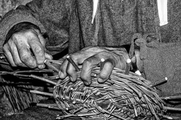 Volterra-wicker-basket-old-work-weave-hands-italian-ancient-man-punnet-canestro-intreccio-lavoro-mani